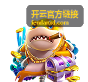 开云官方链接精选时尚单品展示